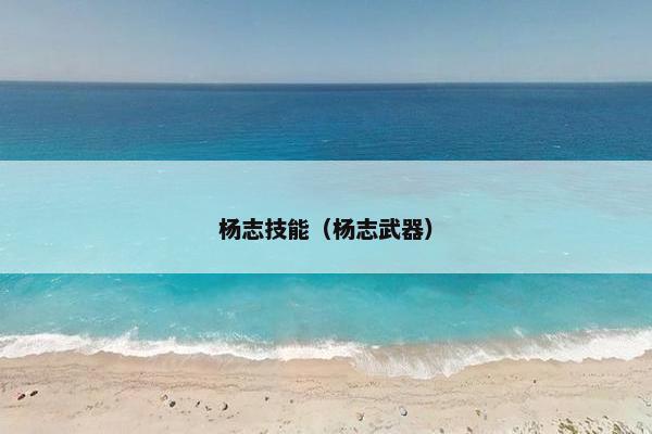 杨志技能（杨志武器）