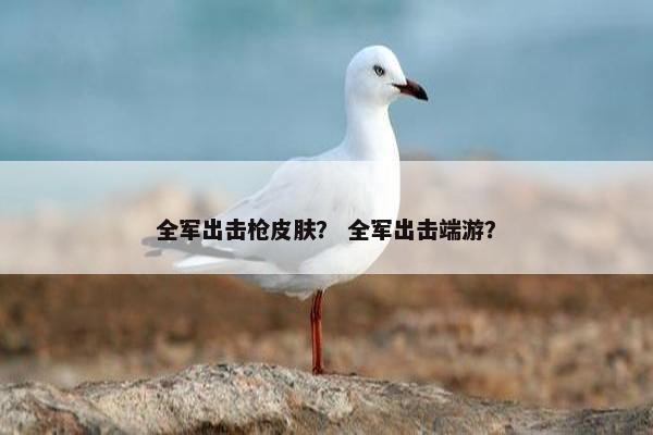 全军出击枪皮肤？ 全军出击端游？