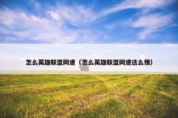 怎么英雄联盟网速（怎么英雄联盟网速这么慢）