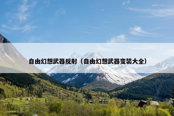 自由幻想武器反射（自由幻想武器变装大全）