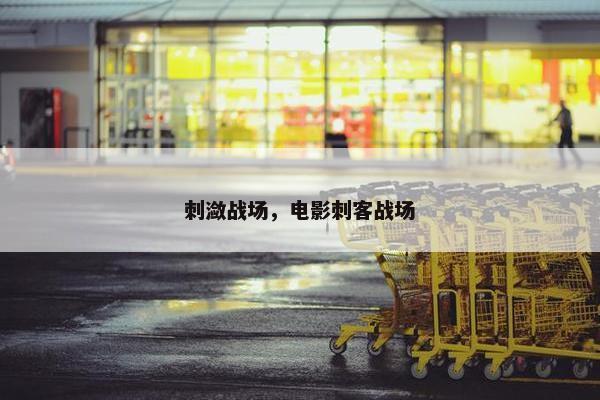 刺潋战场，电影刺客战场