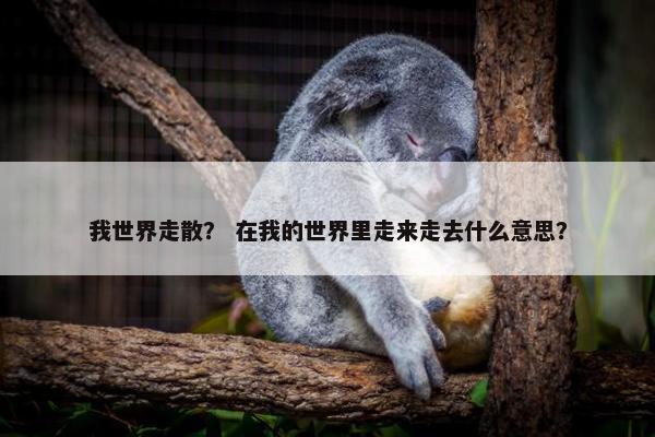 我世界走散？ 在我的世界里走来走去什么意思？