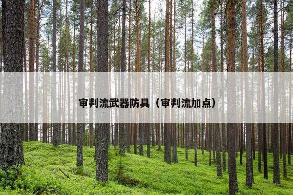 审判流武器防具（审判流加点）
