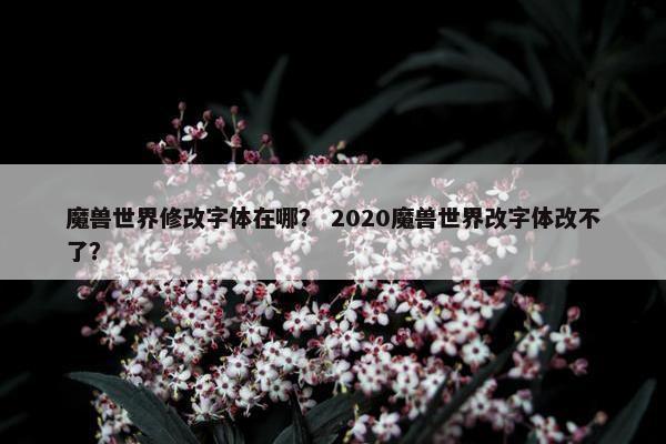 魔兽世界修改字体在哪？ 2020魔兽世界改字体改不了？