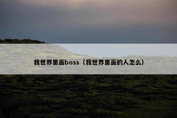 我世界里面boss（我世界里面的人怎么）