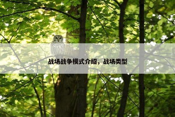 战场战争模式介绍，战场类型
