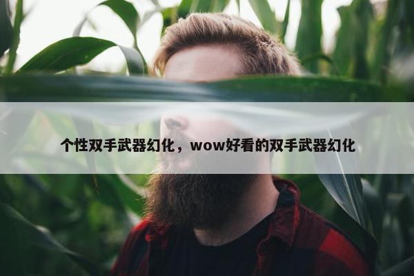 个性双手武器幻化，wow好看的双手武器幻化