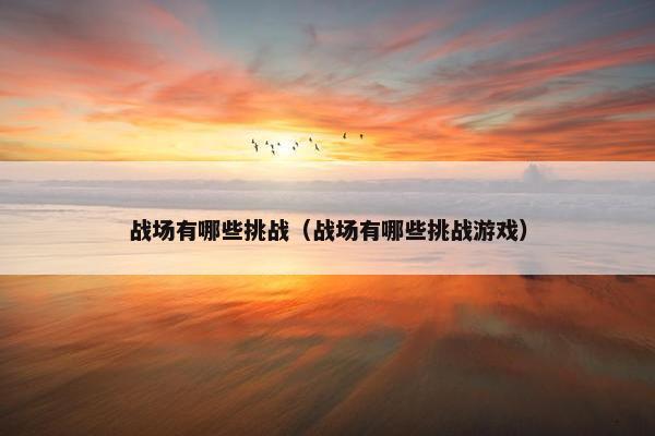 战场有哪些挑战（战场有哪些挑战游戏）