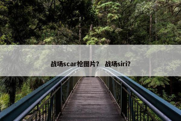 战场scar枪图片？ 战场siri？