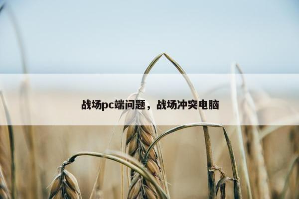 战场pc端问题，战场冲突电脑