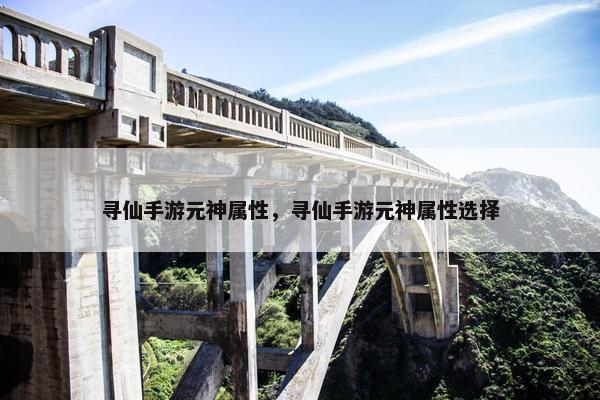 寻仙手游元神属性，寻仙手游元神属性选择