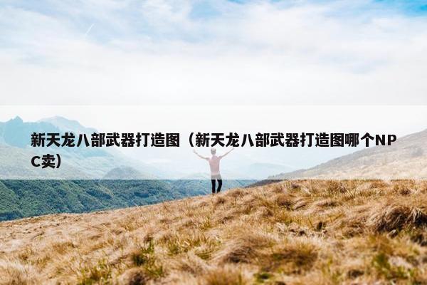 新天龙八部武器打造图（新天龙八部武器打造图哪个NPC卖）