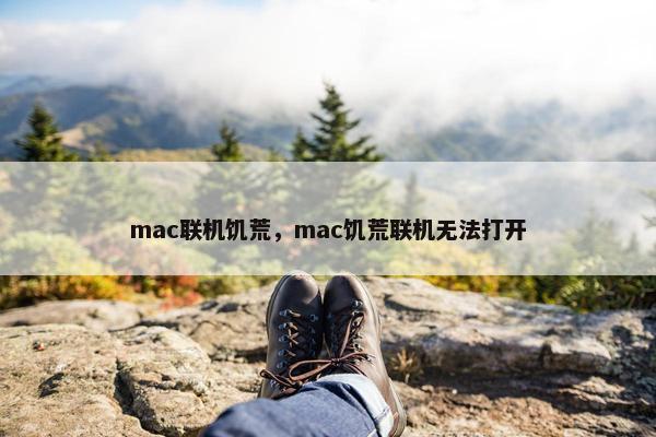 mac联机饥荒，mac饥荒联机无法打开