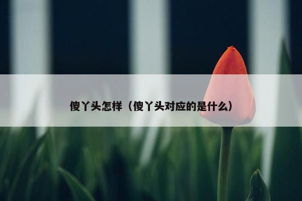 傻丫头怎样（傻丫头对应的是什么）