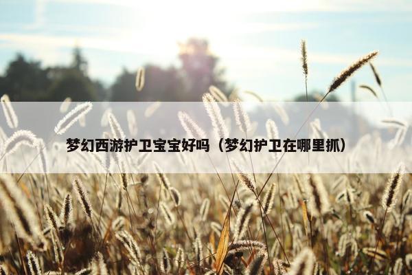 梦幻西游护卫宝宝好吗（梦幻护卫在哪里抓）