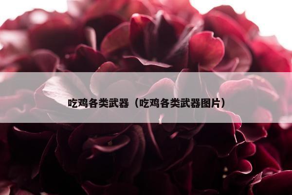 吃鸡各类武器（吃鸡各类武器图片）
