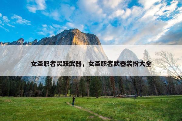 女圣职者灵跃武器，女圣职者武器装扮大全