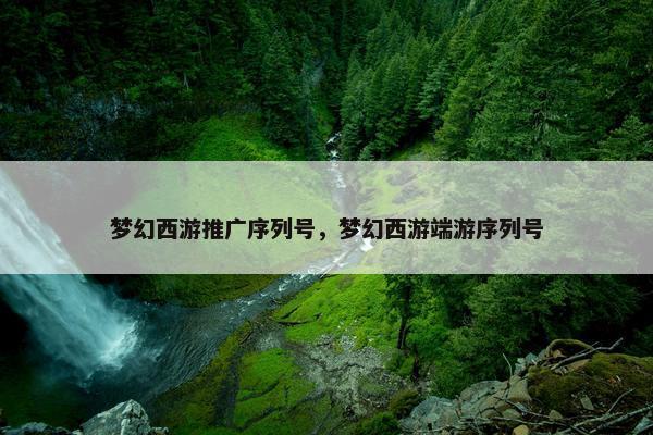 梦幻西游推广序列号，梦幻西游端游序列号