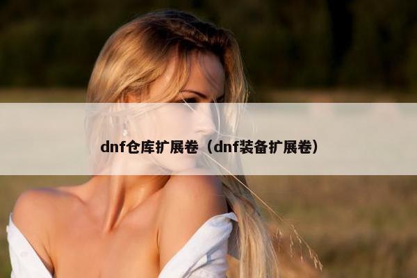 dnf仓库扩展卷（dnf装备扩展卷）