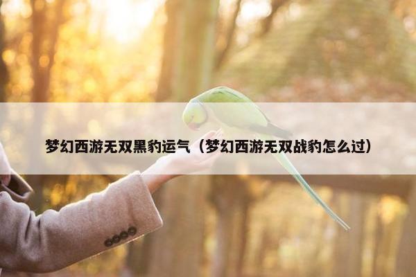 梦幻西游无双黑豹运气（梦幻西游无双战豹怎么过）