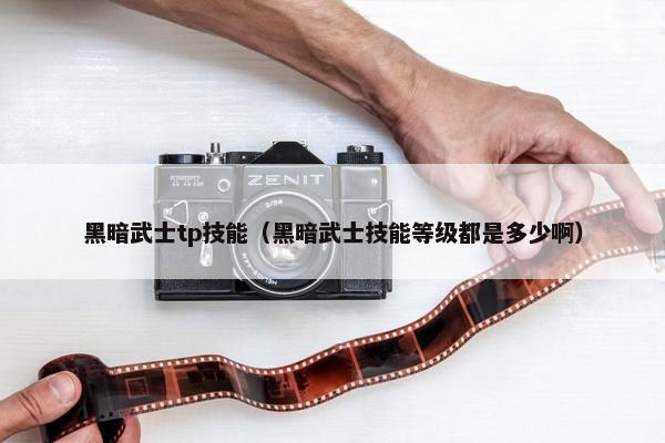 黑暗武士tp技能（黑暗武士技能等级都是多少啊）