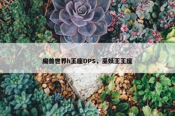 魔兽世界h王座DPS，巫妖王王座