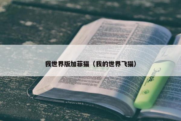 我世界版加菲猫（我的世界飞猫）