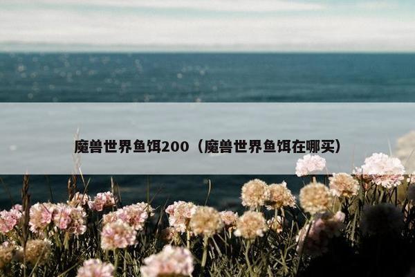 魔兽世界鱼饵200（魔兽世界鱼饵在哪买）