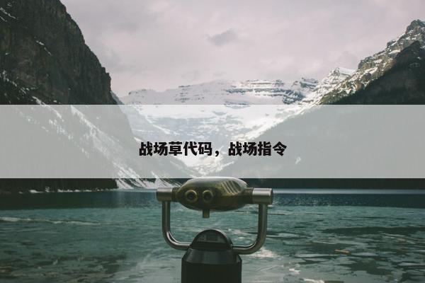 战场草代码，战场指令