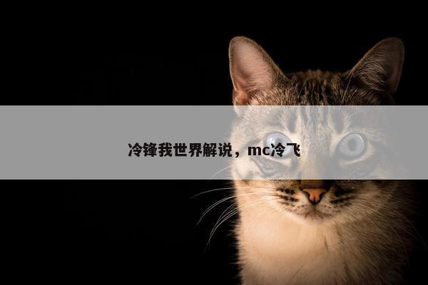 冷锋我世界解说，mc冷飞