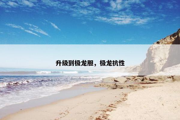 升级到极龙胆，极龙抗性