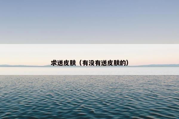 求送皮肤（有没有送皮肤的）