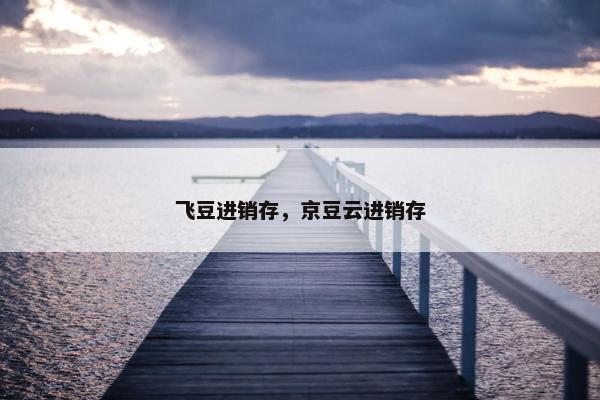飞豆进销存，京豆云进销存