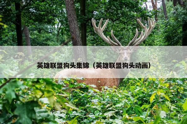 英雄联盟狗头集锦（英雄联盟狗头动画）