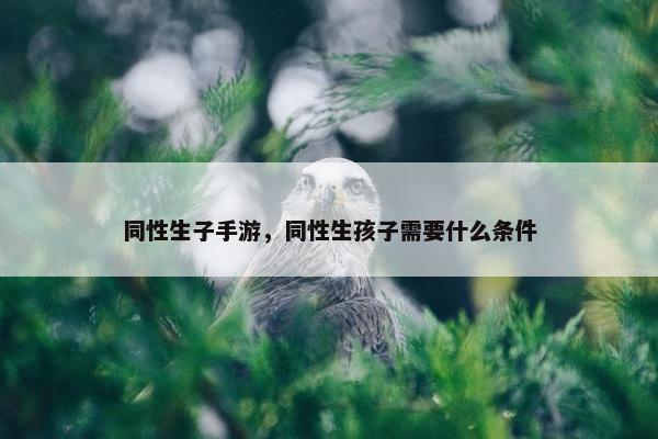 同性生子手游，同性生孩子需要什么条件