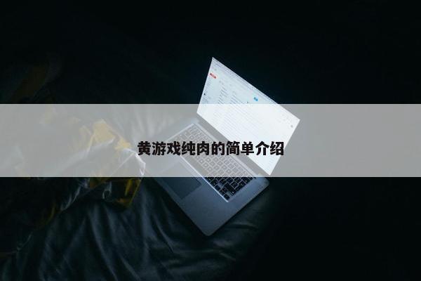 黄游戏纯肉的简单介绍