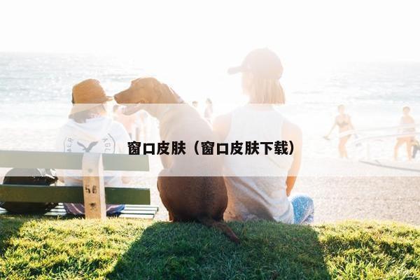 窗口皮肤（窗口皮肤下载）