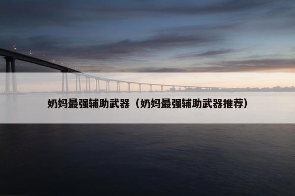 奶妈最强辅助武器（奶妈最强辅助武器推荐）