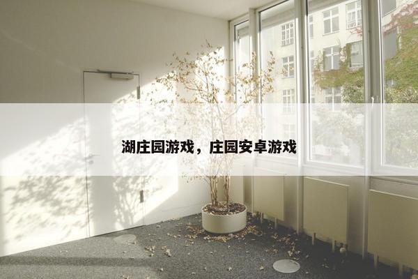 湖庄园游戏，庄园安卓游戏