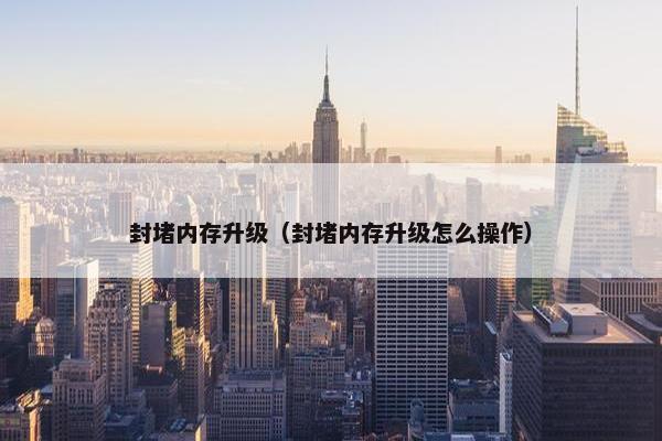 封堵内存升级（封堵内存升级怎么操作）