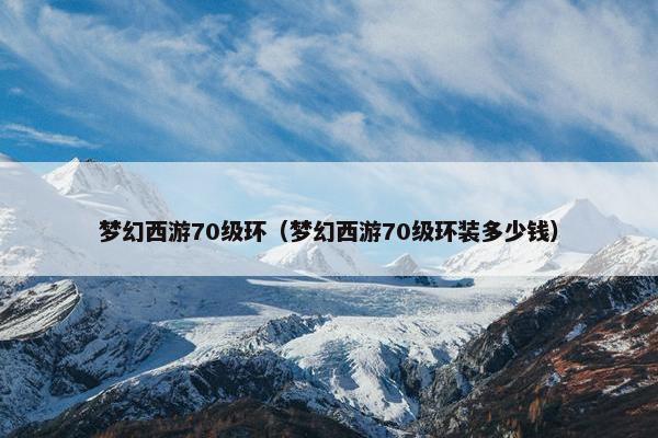 梦幻西游70级环（梦幻西游70级环装多少钱）