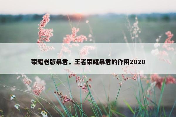 荣耀老版暴君，王者荣耀暴君的作用2020