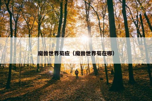 魔兽世界荀应（魔兽世界荀在哪）