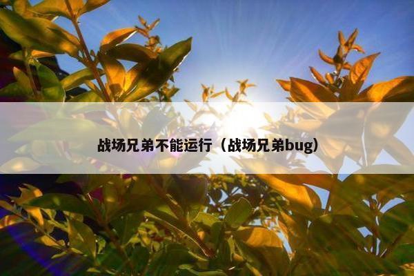 战场兄弟不能运行（战场兄弟bug）