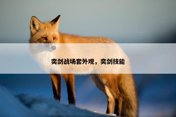 奕剑战场套外观，奕剑技能