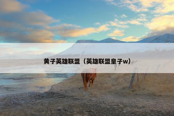 黄子英雄联盟（英雄联盟皇子w）