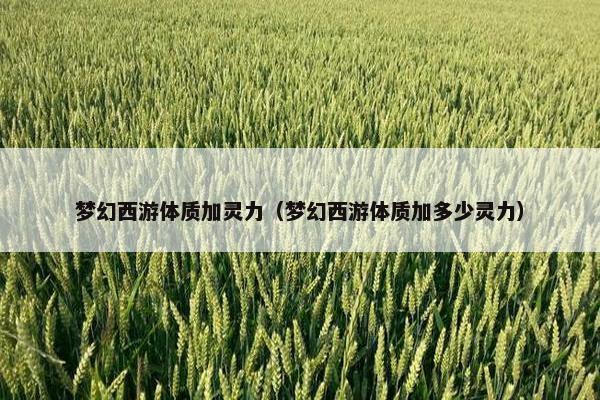 梦幻西游体质加灵力（梦幻西游体质加多少灵力）