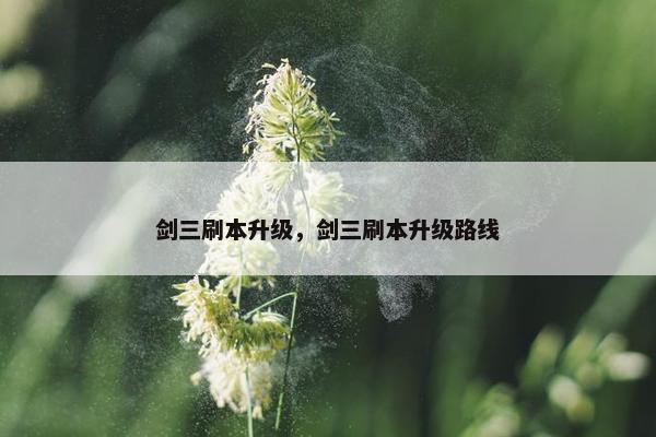 剑三刷本升级，剑三刷本升级路线
