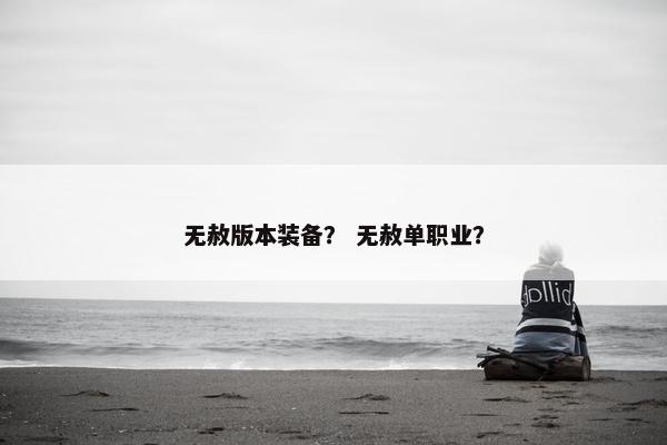 无赦版本装备？ 无赦单职业？