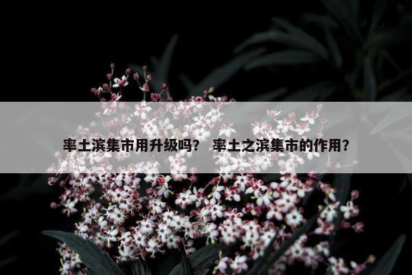 率土滨集市用升级吗？ 率土之滨集市的作用？